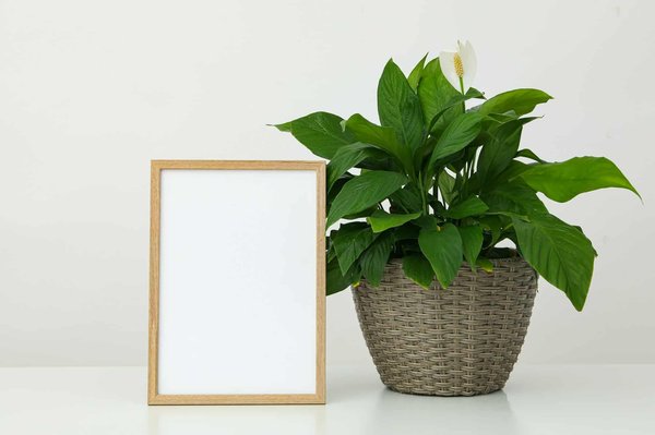 Tableau personnalisé famille: immortalisez vos moments